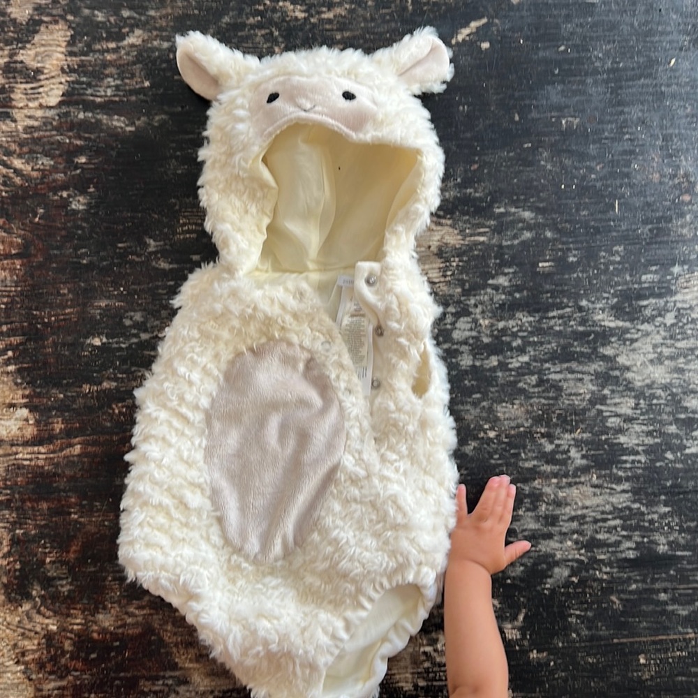 Cozy lamb onesie costume for a sweet little babe! Worn once